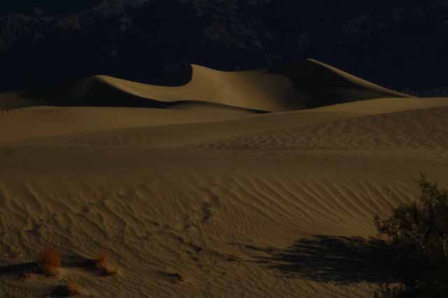 Mesquite sand dunes